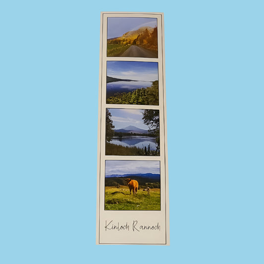 Photo Strip Magnet